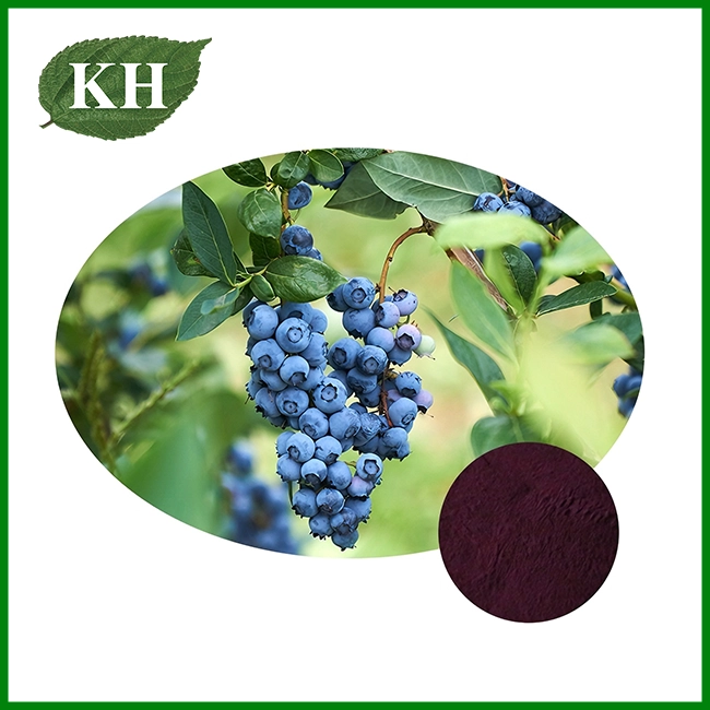Blueberry Extract Powder Blueberry Extract Powder